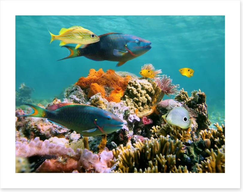 Underwater - Image 2