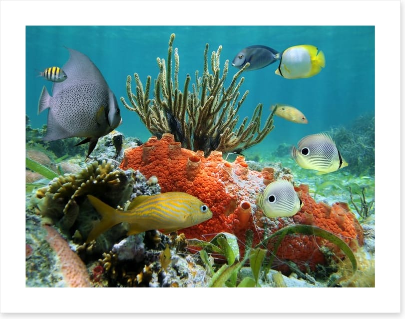Underwater - Image 2
