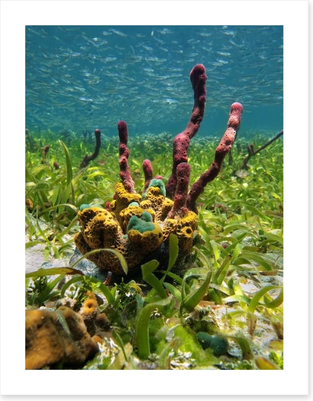 Underwater - Image 2