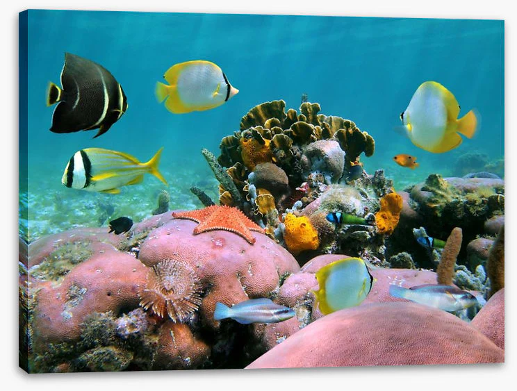 Underwater - Image 2