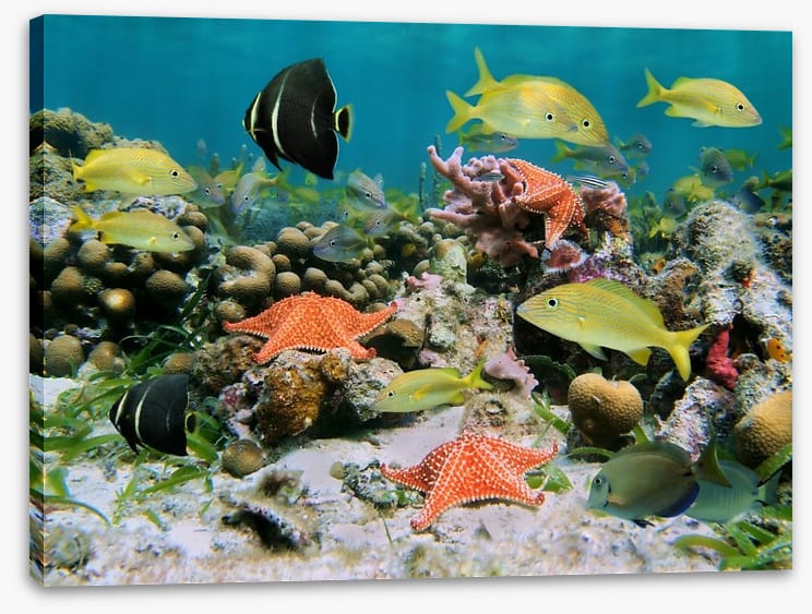 Underwater - Image 2