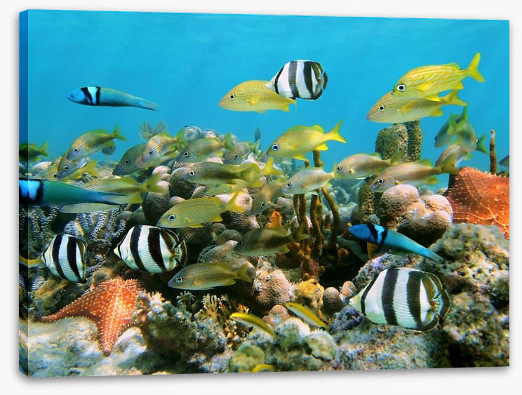 Underwater - Image 2
