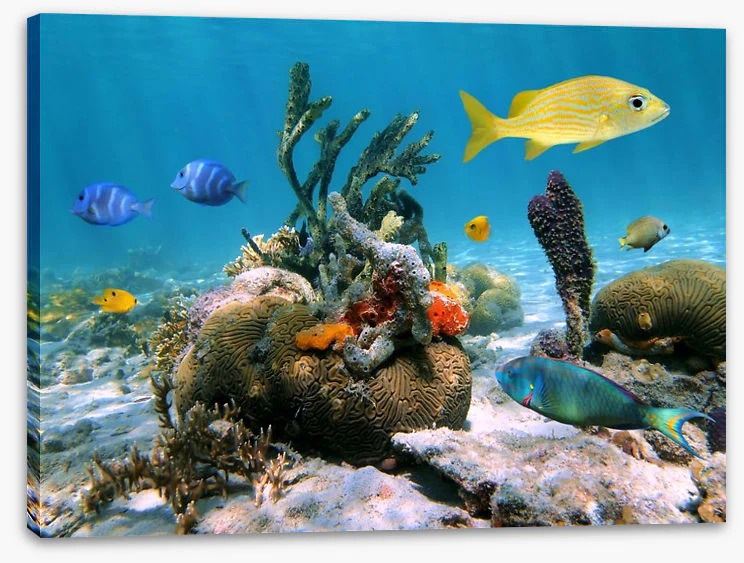 Underwater - Image 2