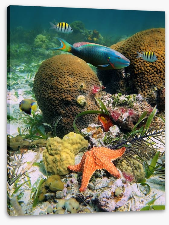 Underwater - Image 2