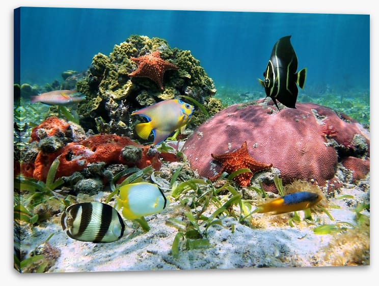 Underwater - Image 2