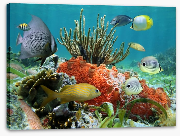 Underwater - Image 2