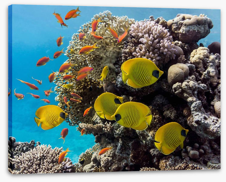 Underwater - Image 2