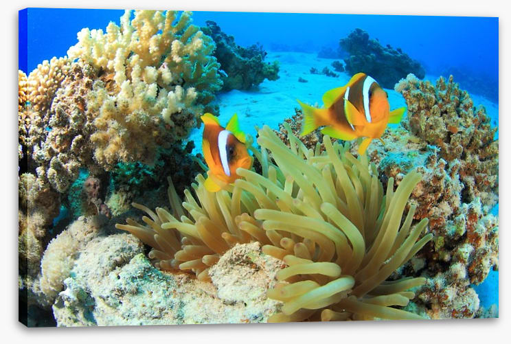 Underwater - Image 2