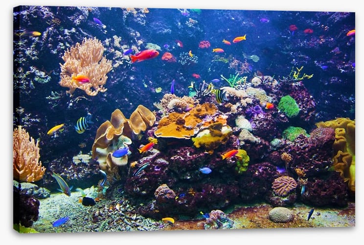 Underwater - Image 2