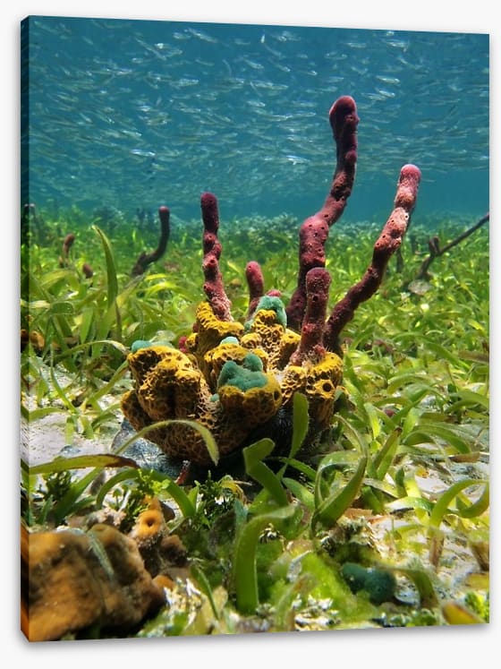 Underwater - Image 2