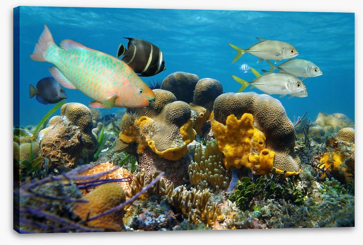 Underwater - Image 2