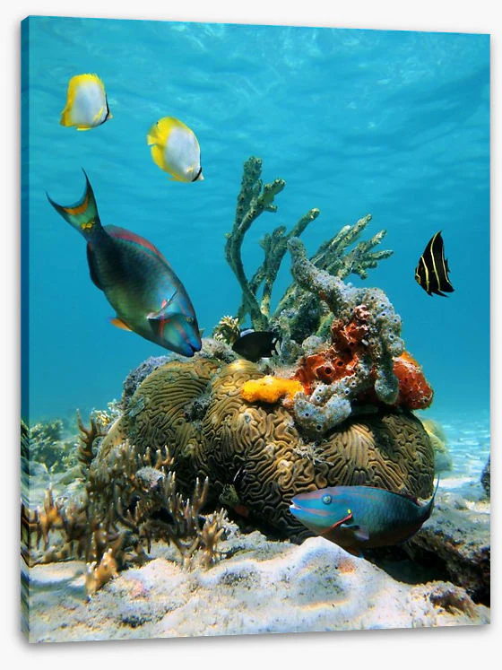 Underwater - Image 2