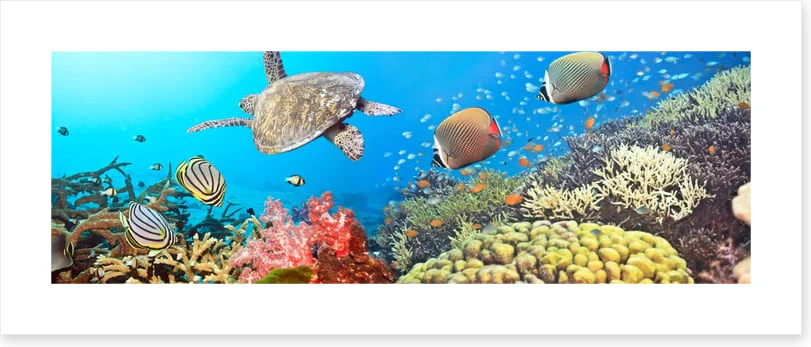 Underwater world - Image 2