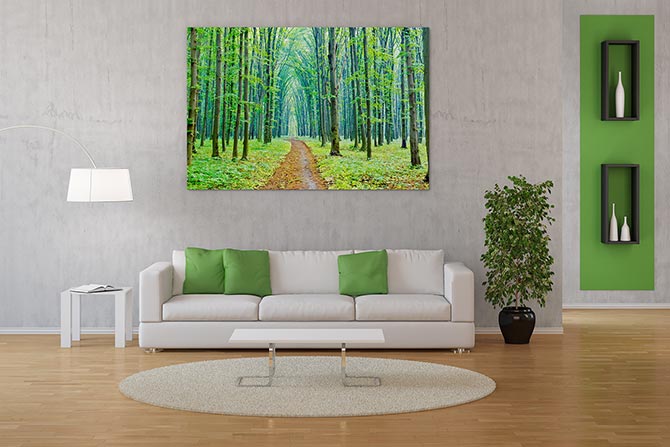 Vibrant spring in the forest - Image 3