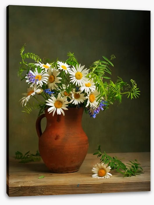 Daisies for days - Image 2