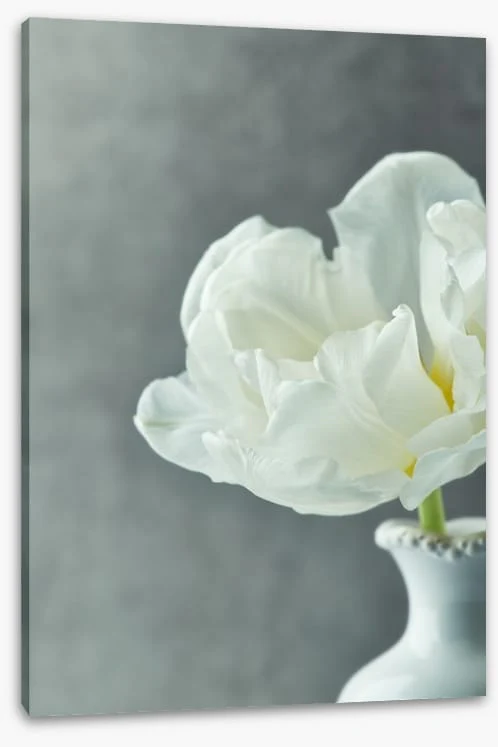 Fragile simplicity - Image 2