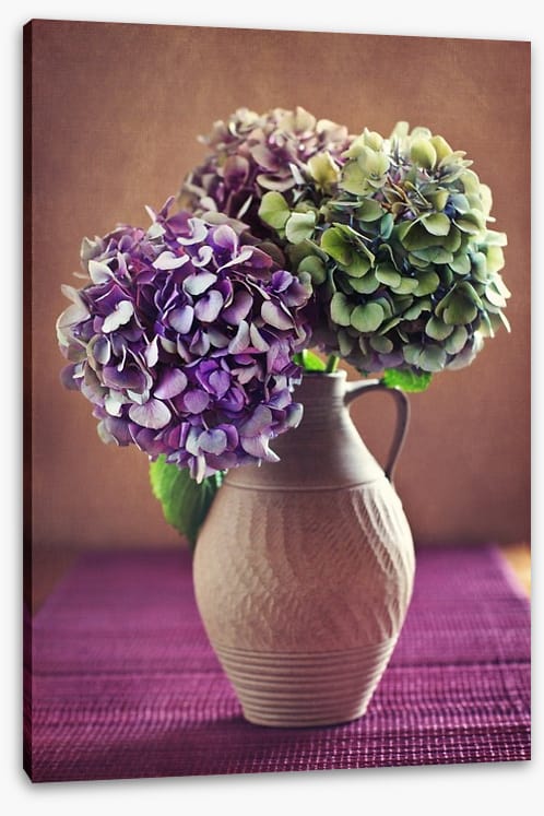 Hortensia bloom - Image 2