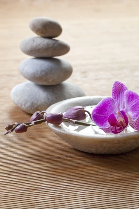 Pampering orchid