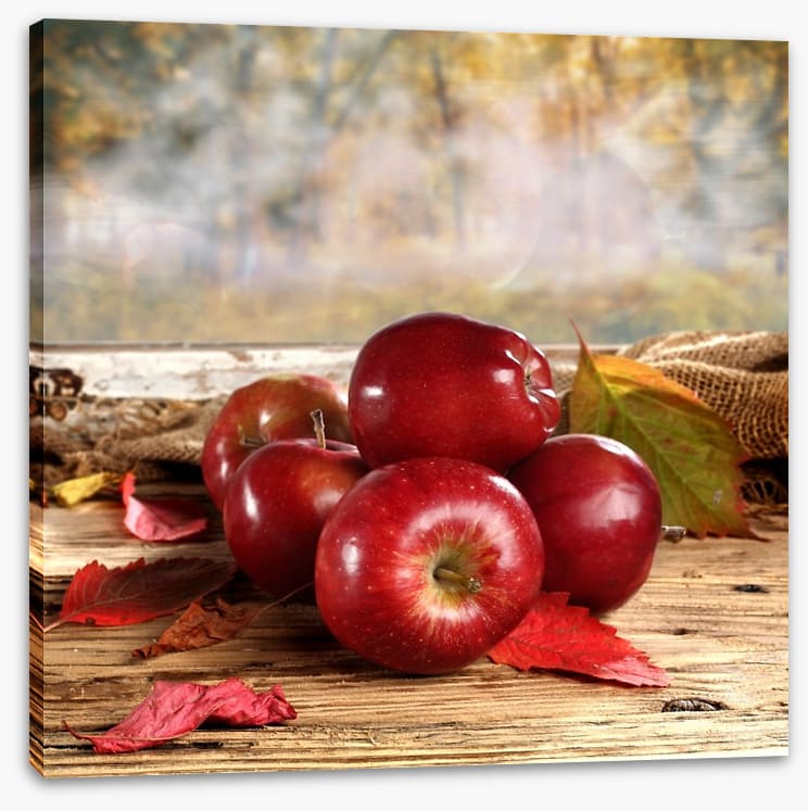 Shiny red apples - Image 2