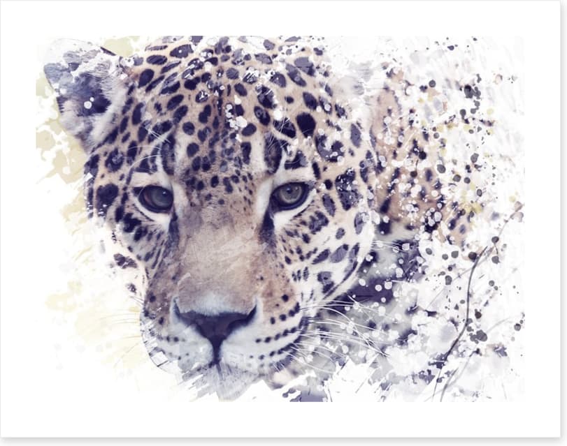 Well spotted - Image 2