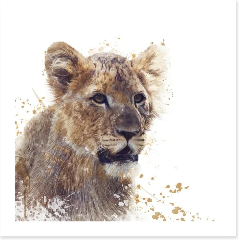 What Simba sees - Image 2