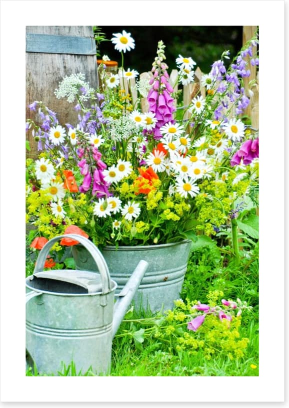 Wildflower blooms - Image 2