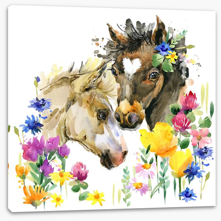Wildflower foals - Image 2