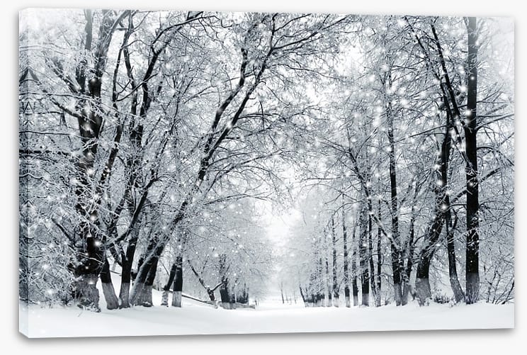 Magical snowstorm - Image 2