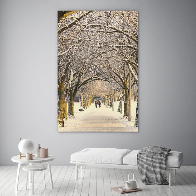 Winter pathway - Image 3