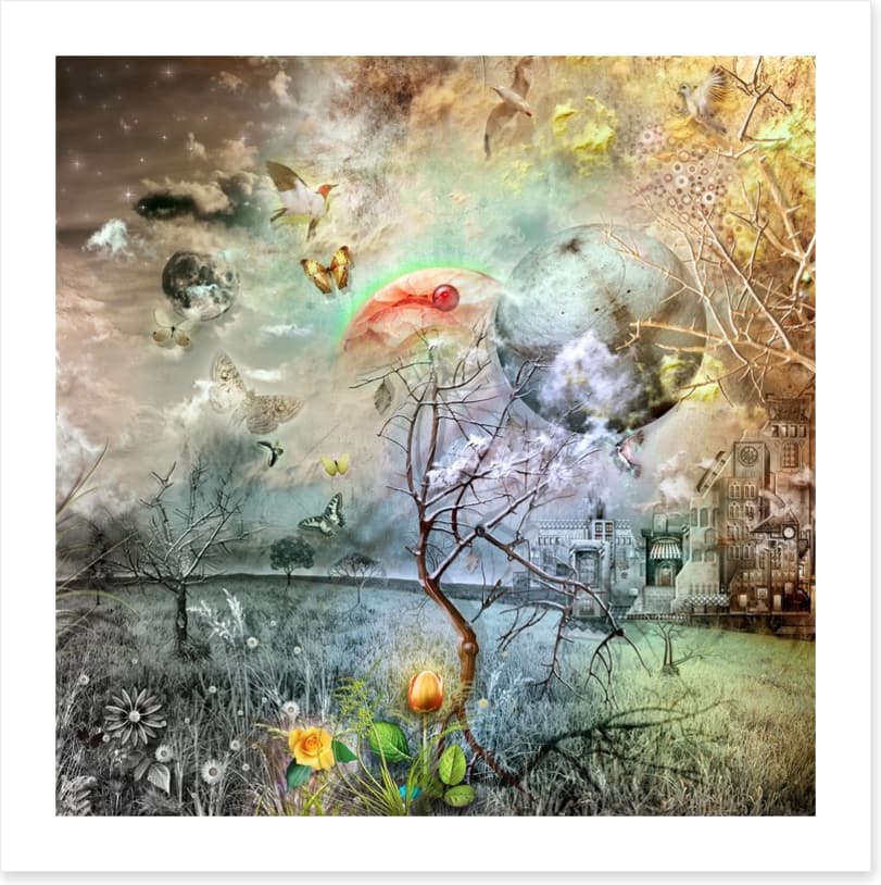 Wonderland of the golden tulip - Image 2