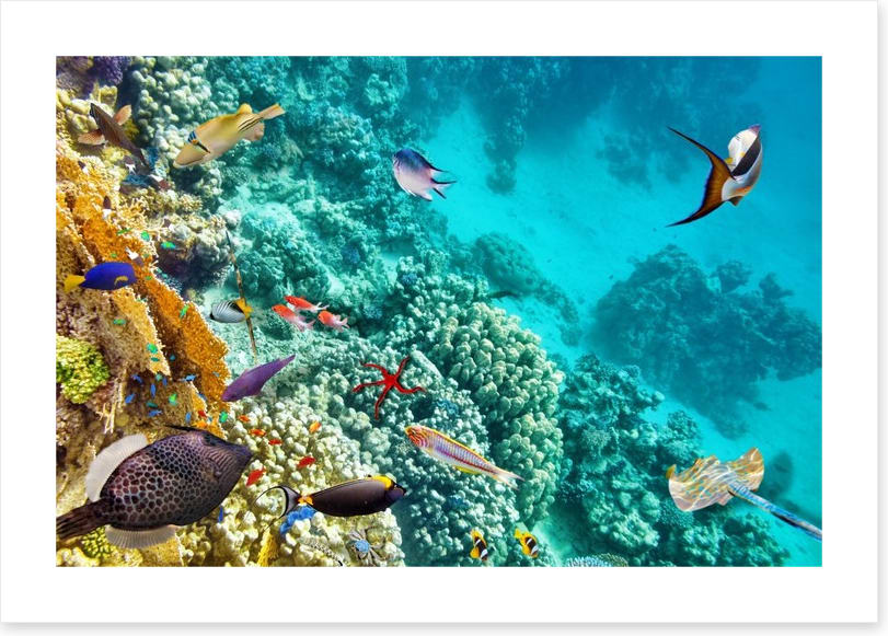 World under water - Image 2