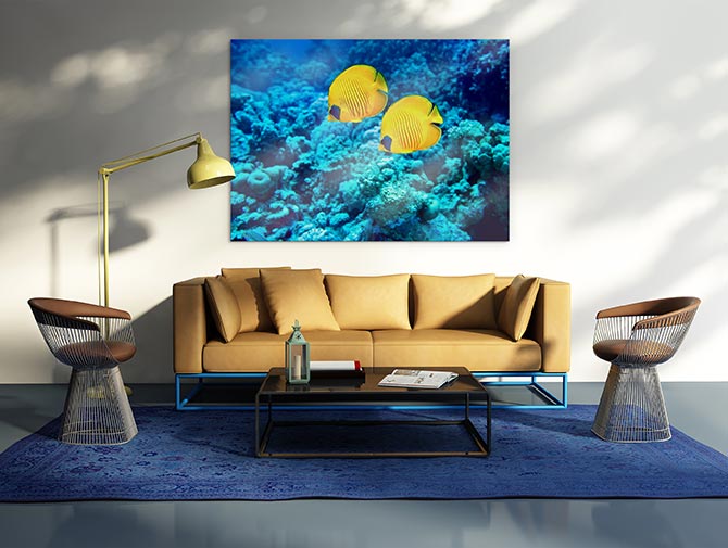 Yellow coral fish - Image 3