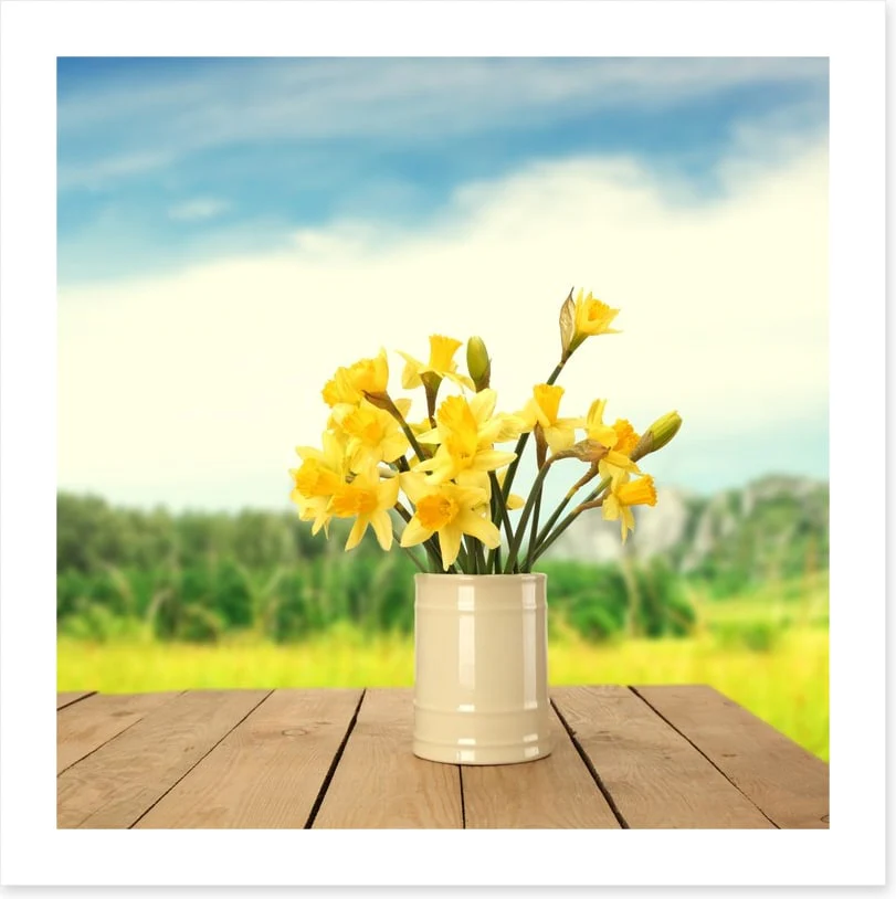 Yellow daffodils - Image 2