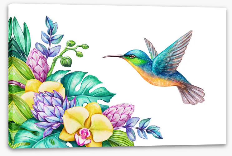 Yellow orchid hummingbird - Image 2
