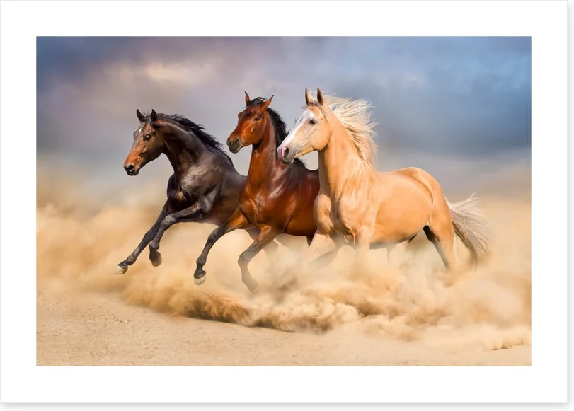 Young, wild and free - Image 2